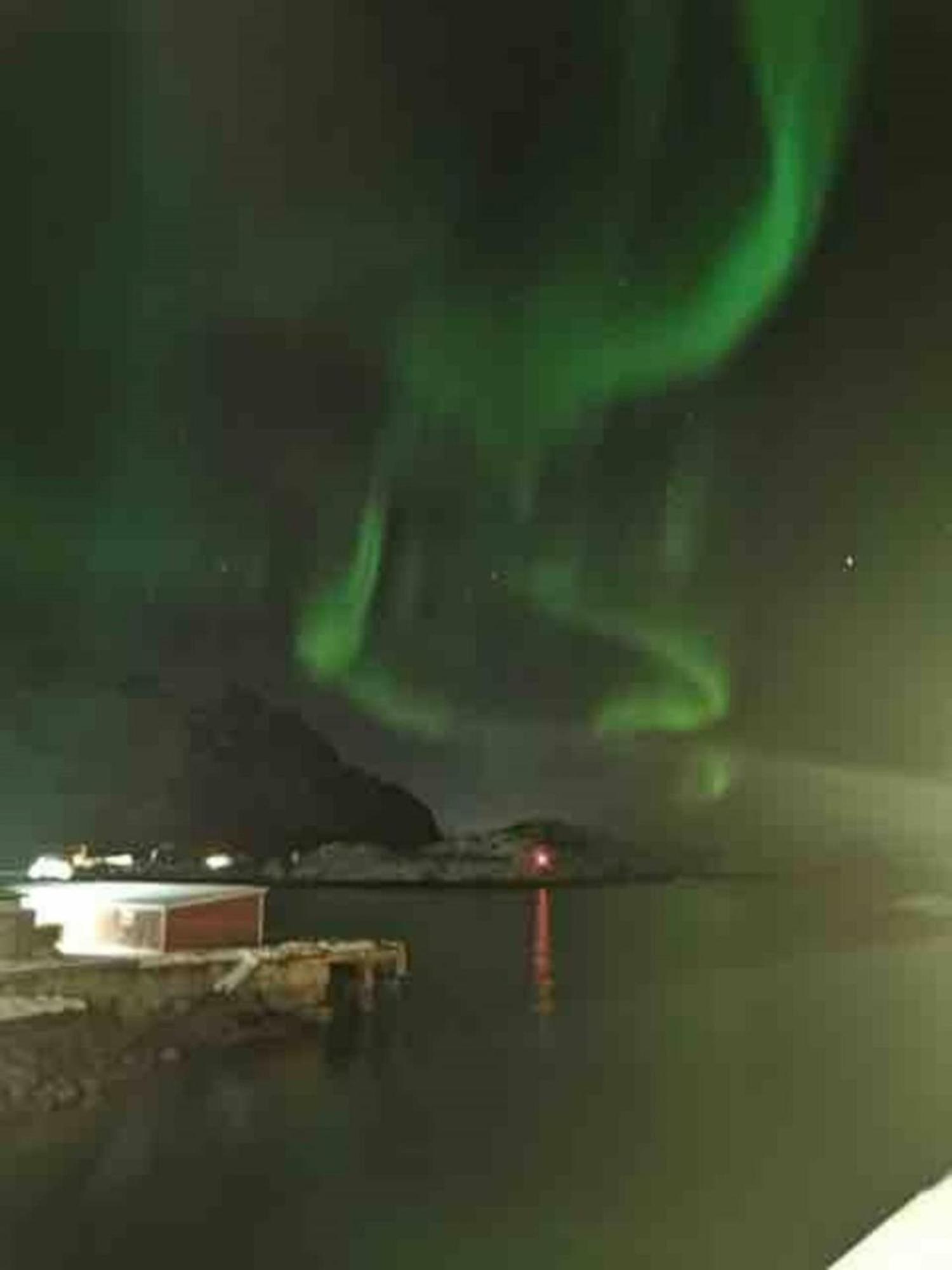Ny Leilighet I Henningsvaer! Eksteriør billede